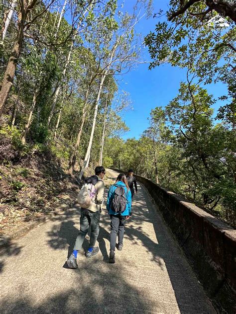 圓墩山|【一起行山闖蕩去】 圓墩郊遊徑